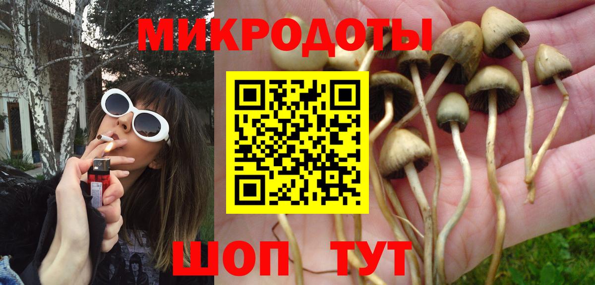Котлас  Псилоцибиновые грибы GOLDEN TEACHER  Вход с VPN 